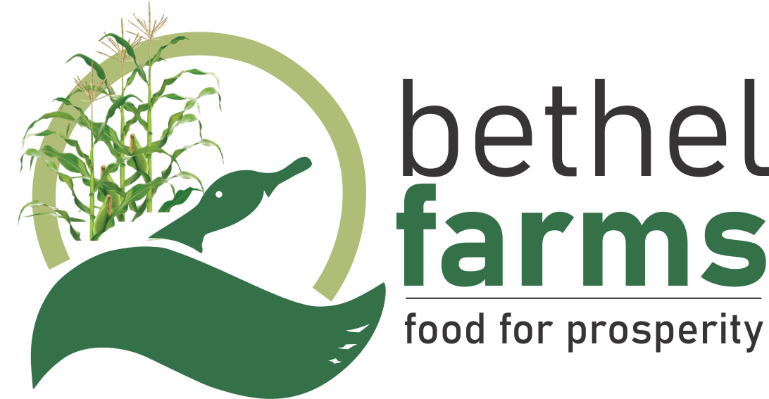 bethel mission farms